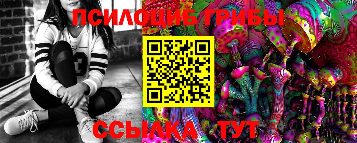 Норильск  Псилоцибиновые грибы Psilocybe  Вход с VPN 